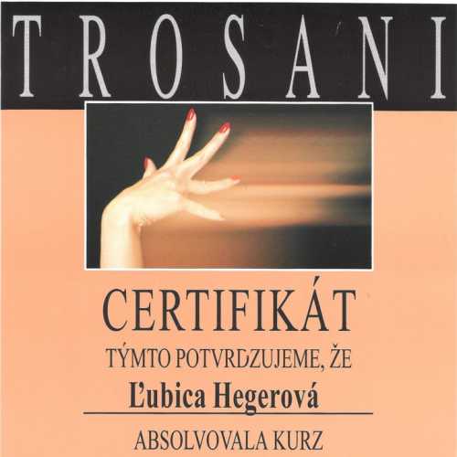 certifikat11.jpg